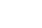 V Performance